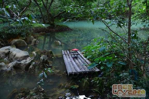 探寻体内湿气过重,会侵扰脾胃,导致失调,哪些方法或能调理?,发现知识星球平台的独特魅力